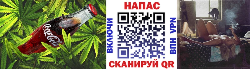 Cannafood конопля  как найти закладки  Усть-Джегута 