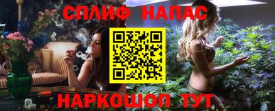 стафф Донецк