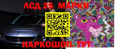 стафф Донецк
