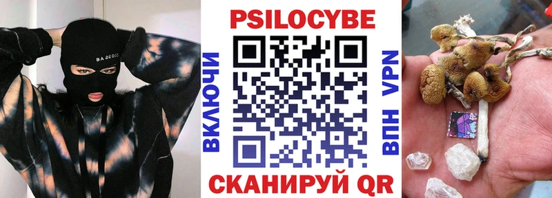 магазин  наркотиков  Усть-Джегута  Псилоцибиновые грибы Cubensis 
