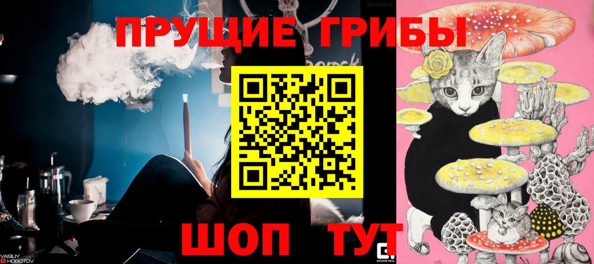 Псилоцибиновые грибы Cubensis Усть-Джегута