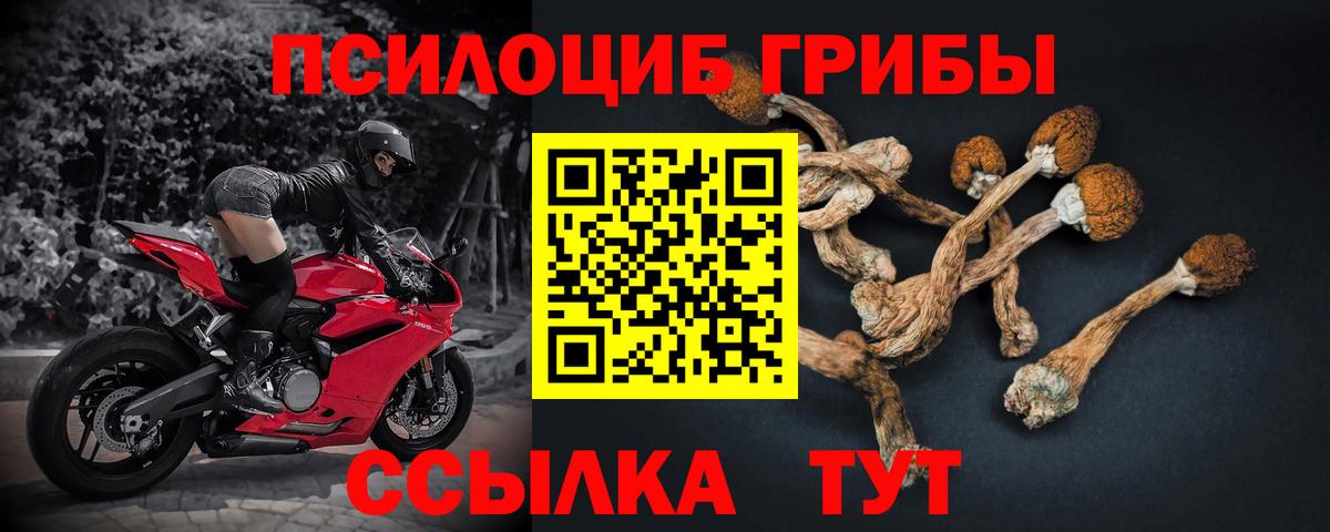 Псилоцибиновые грибы MAGIC MUSHROOMS  Галлюциногенные грибы мицелий  наркота  Вход с VPN  Усть-Джегута 